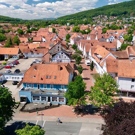 Hotel Zum Grafen Hallermunt شبرينغه المظهر الخارجي الصورة