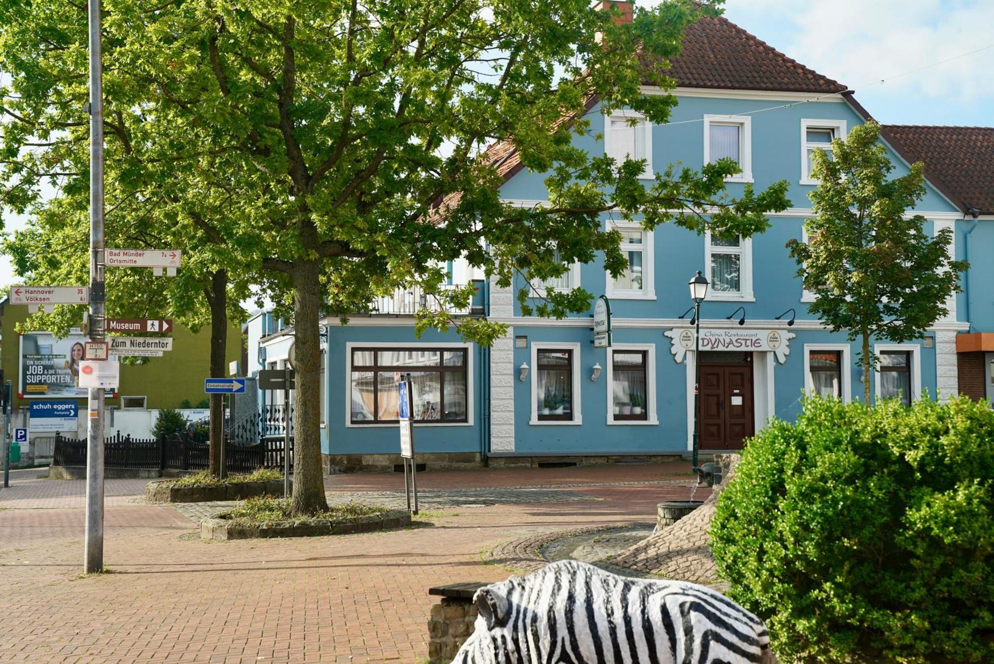 Hotel Zum Grafen Hallermunt شبرينغه المظهر الخارجي الصورة