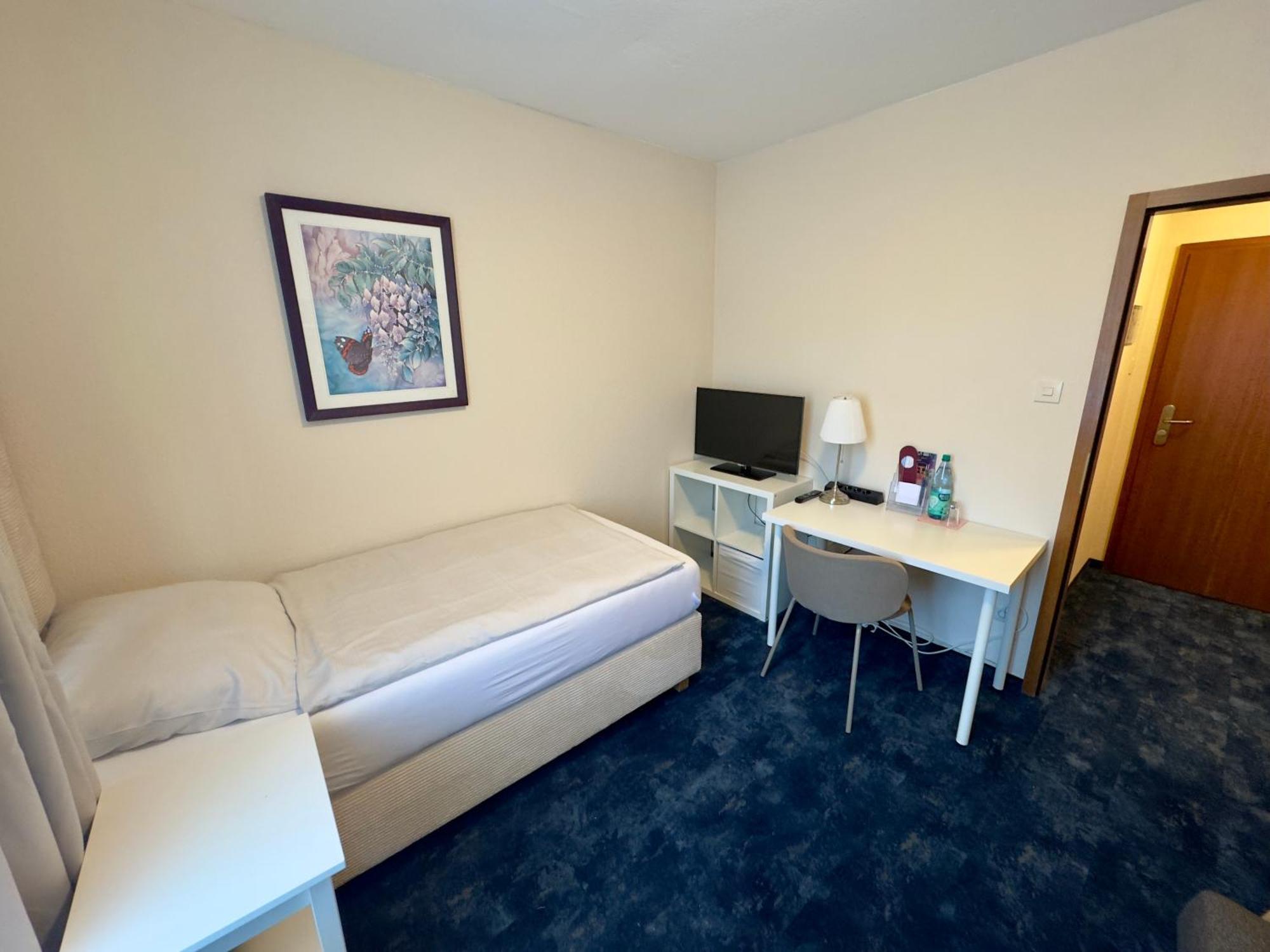 Hotel Zum Grafen Hallermunt شبرينغه المظهر الخارجي الصورة